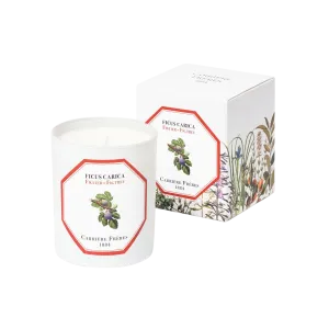 Scented Candle in Fig