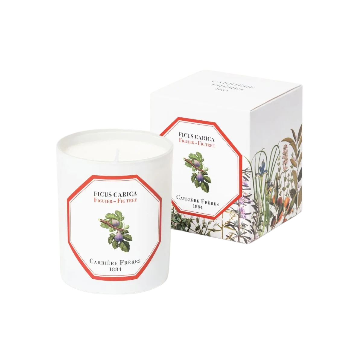 Scented Candle in Fig