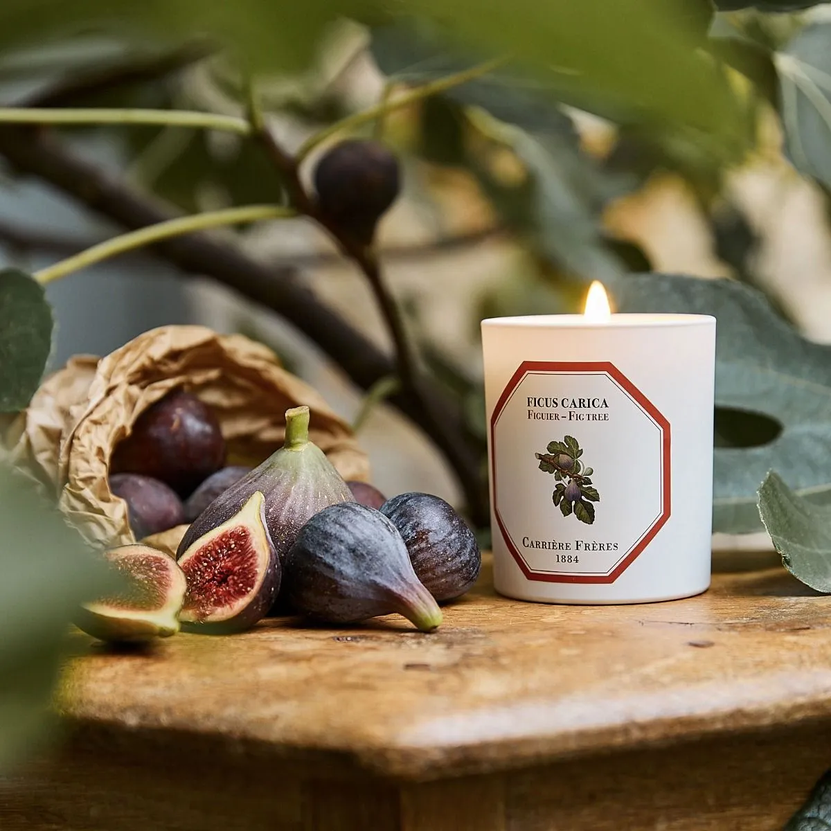 Scented Candle in Fig